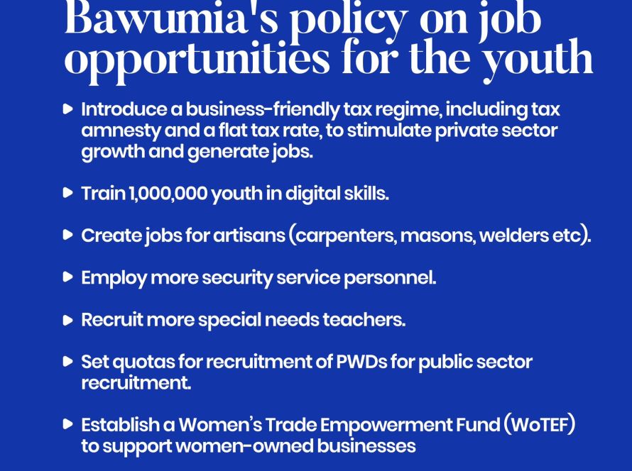 Dr. Bawumia's visionary policy on youth job creation is a game-changer